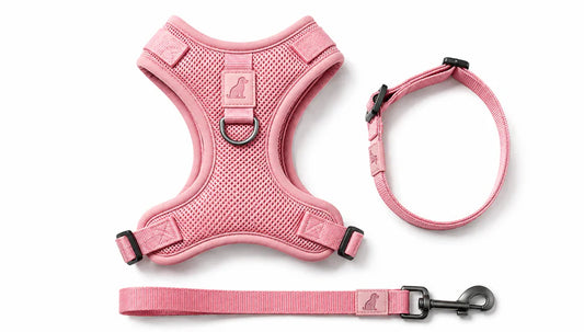 Breathable Dog Vest Harness Set