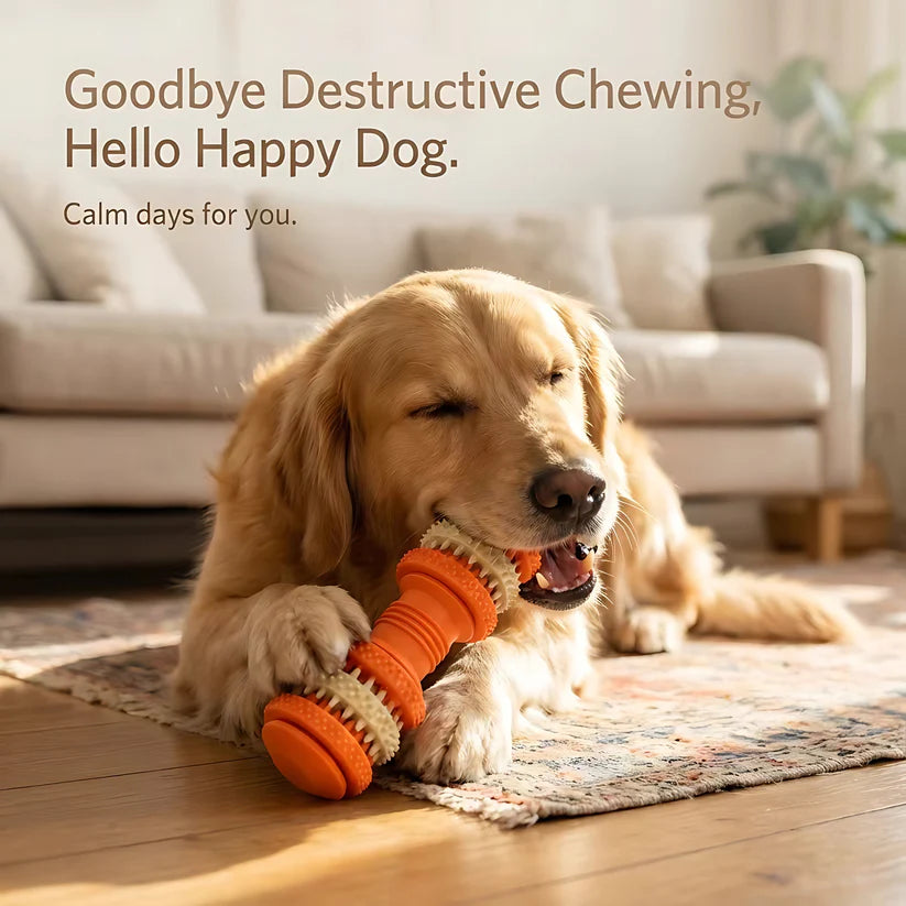Tough Dog Chew Toy with Treat Dispenser