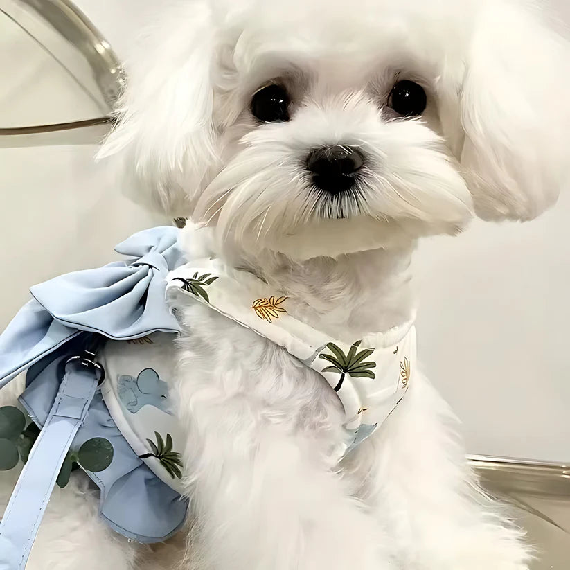 Breathable Dog Vest Harness