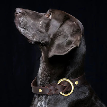 Genuine Leather Dog Collar & Lead Set