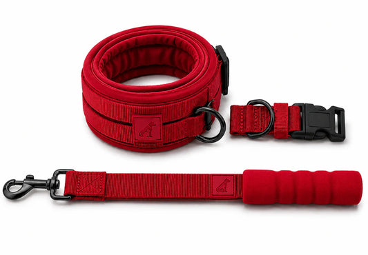 Heavy-Duty Dog Collar and Leash Set