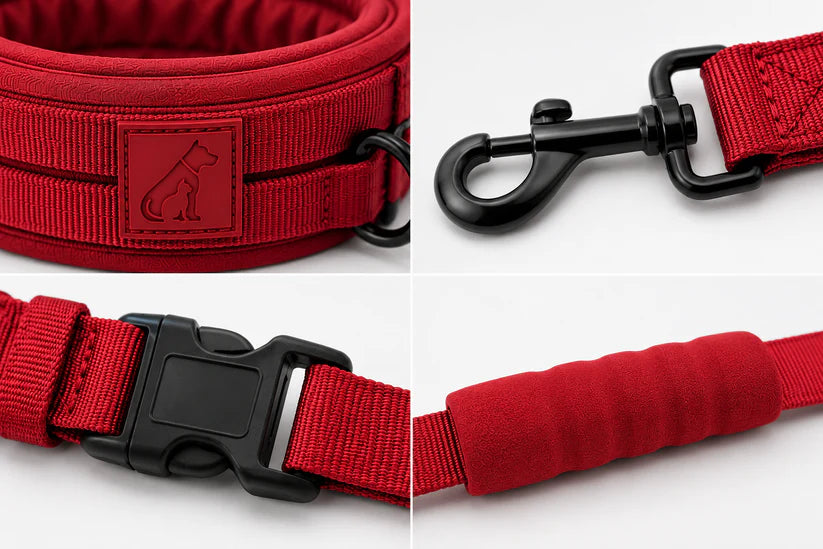 Heavy-Duty Dog Collar and Leash Set